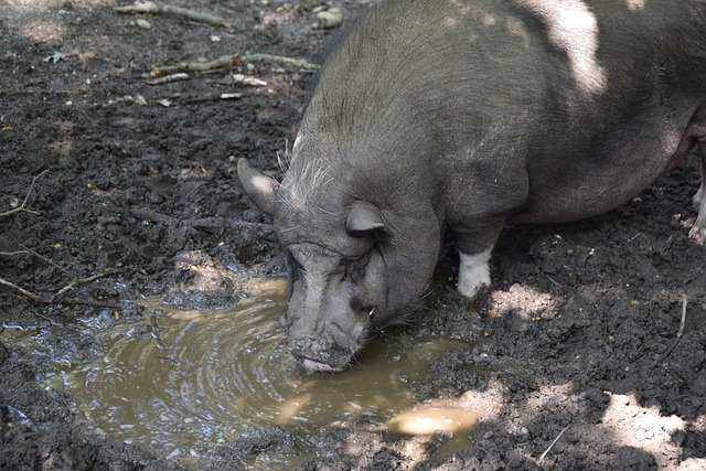 队提供了一 队提供了一