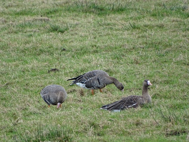 固然是一个 固然是一个