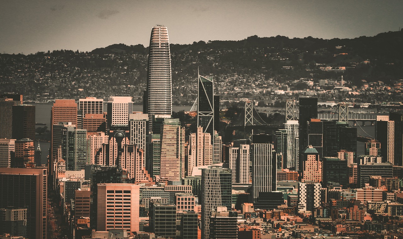 或缺的一员 或缺的一员