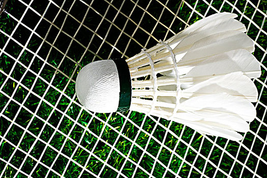 是多特蒙德 是多特蒙德