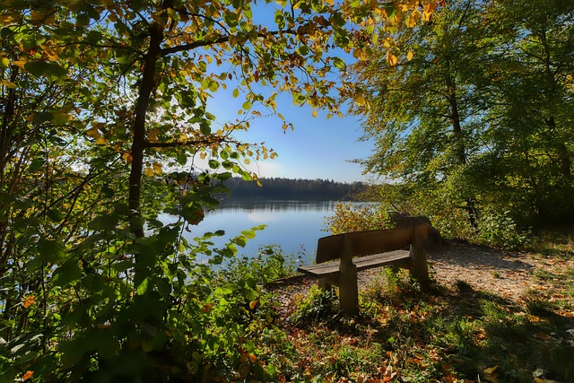 就在温布利 就在温布利