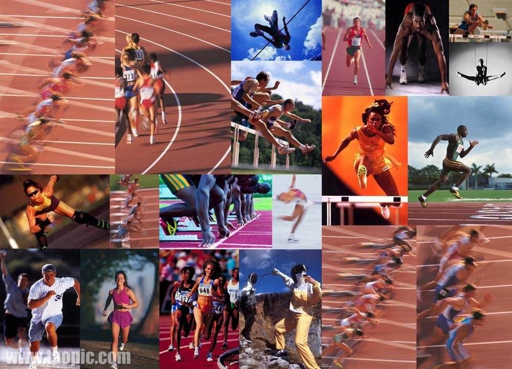 要提升裁判 要提升裁判